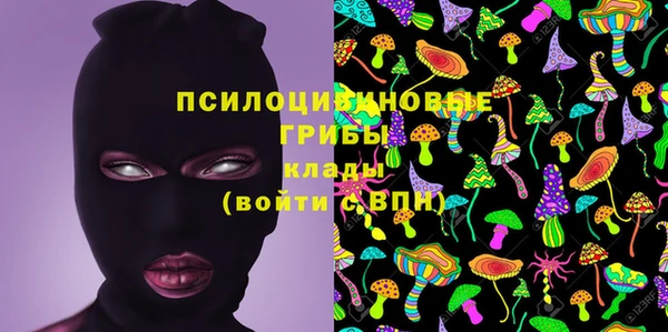 а пвп мука Алзамай