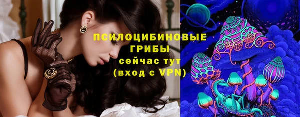 а пвп мука Алзамай